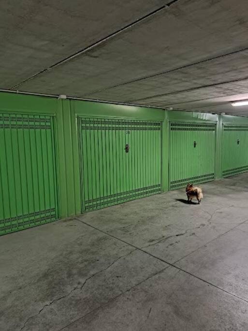 アルマ・ディ・タッジャCentrale Vicino Spiagge E Ciclabile + Box-Auto !アパートメント エクステリア 写真